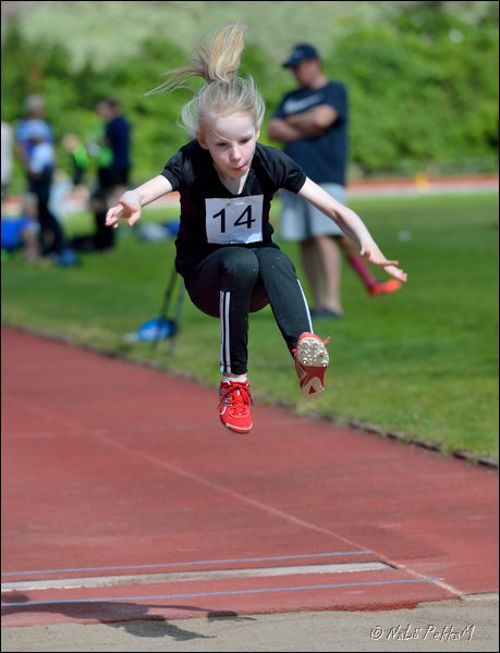 2017-07-22_Kuparivuoren_Kuninkaalliset-I (89).jpg