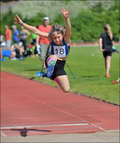 2017-07-22_Kuparivuoren_Kuninkaalliset-I (93).jpg