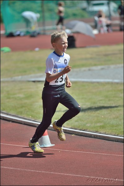 2017-07-23_Kuparivuoren_Kuninkaalliset-II (179).jpg