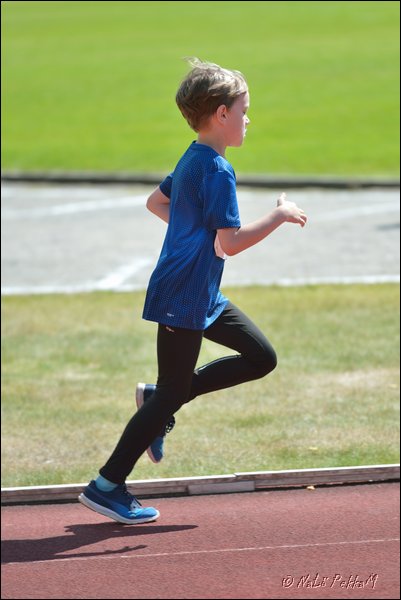 2017-07-23_Kuparivuoren_Kuninkaalliset-II (187).jpg