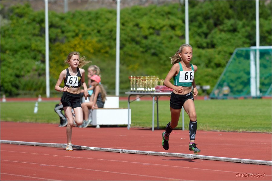 2017-07-23_Kuparivuoren_Kuninkaalliset-II (210).jpg