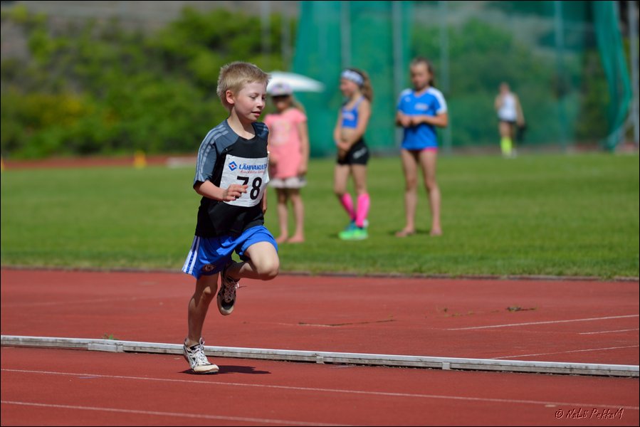 2017-07-23_Kuparivuoren_Kuninkaalliset-II (231).jpg