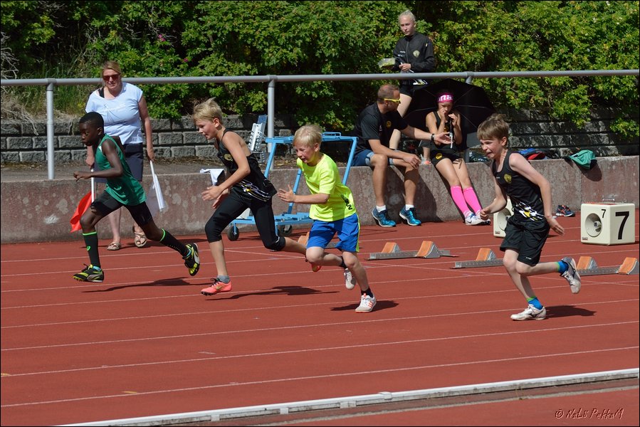 2017-07-23_Kuparivuoren_Kuninkaalliset-II (72).jpg