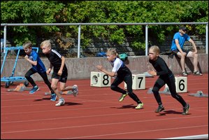 2017-07-23_Kuparivuoren_Kuninkaalliset-II (64).jpg