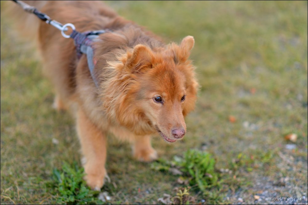 2017-07-27_Unikeon_aamuholkka (203).jpg