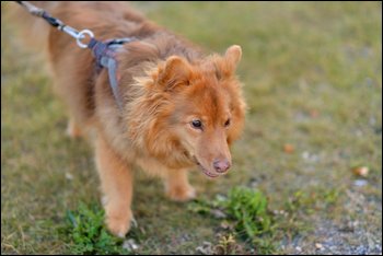 2017-07-27_Unikeon_aamuholkka (203).jpg