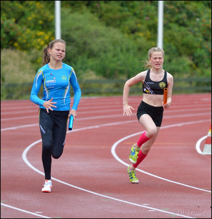 2019-08-18_Aluemestaruuskisat (146).jpg