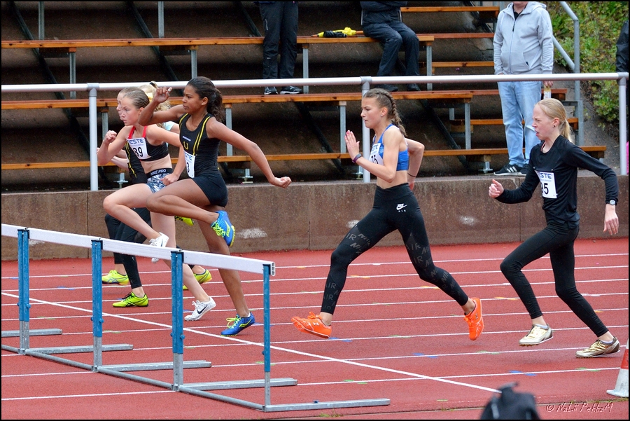 2019-08-18_Aluemestaruuskisat (15).jpg