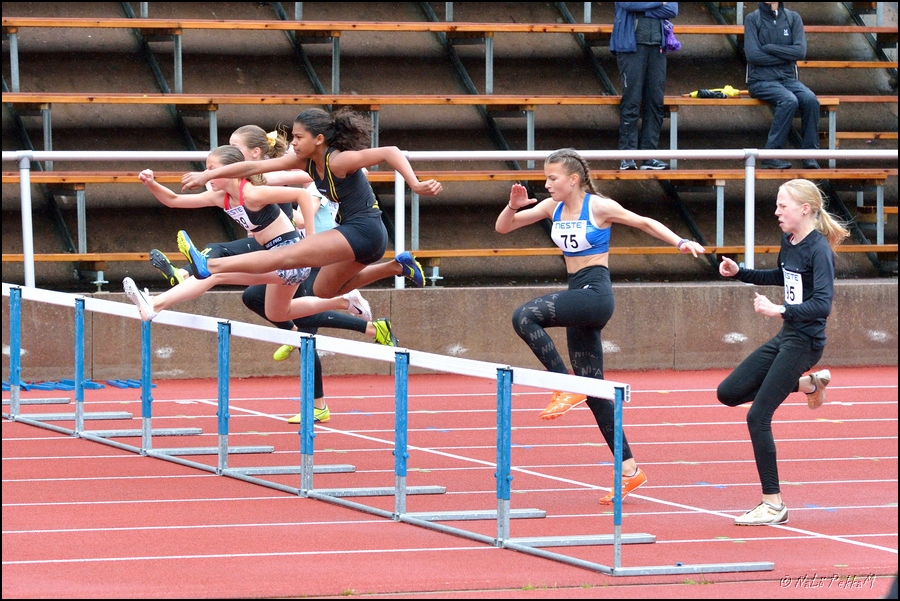 2019-08-18_Aluemestaruuskisat (17).jpg