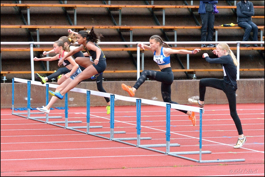 2019-08-18_Aluemestaruuskisat (18).jpg