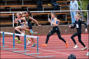 2019-08-18_Aluemestaruuskisat (15).jpg