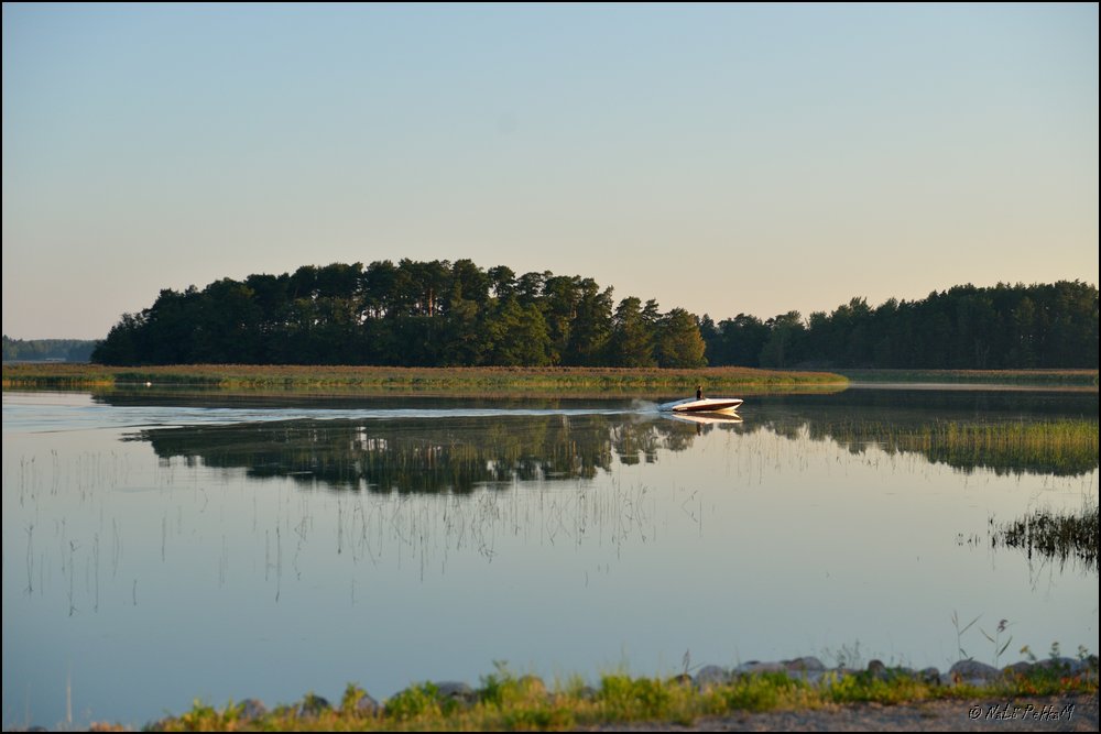 2019-07-27_Unikeon_aamuholkka (148).jpg